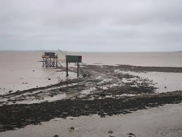 2 Carrelets grau bei Ebbe