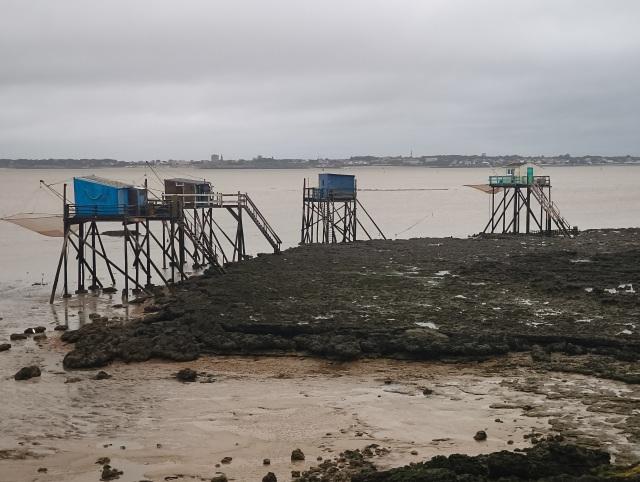 4 Carrelets farbig