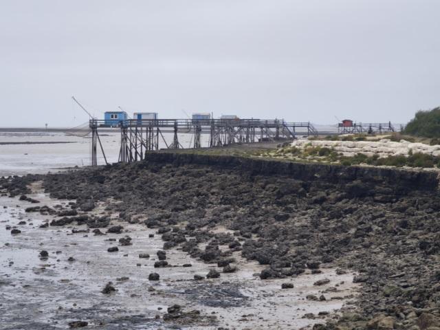 5 Carrelets