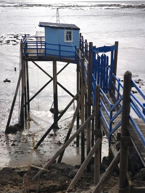Carrelet blau portrait 1